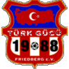 TurkGucuFriedberg